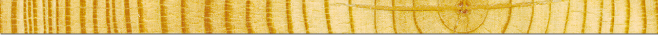 Header bg